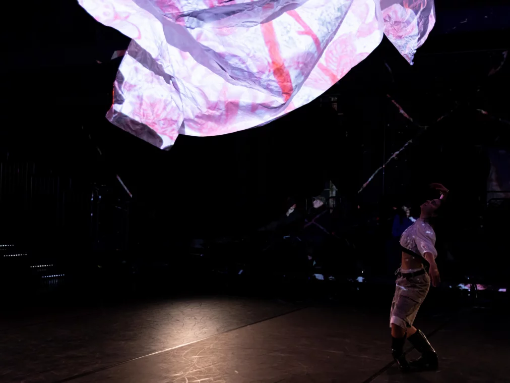 PooyeshFrozandeh%22SavingFlowers%22©MayraWallraff-69