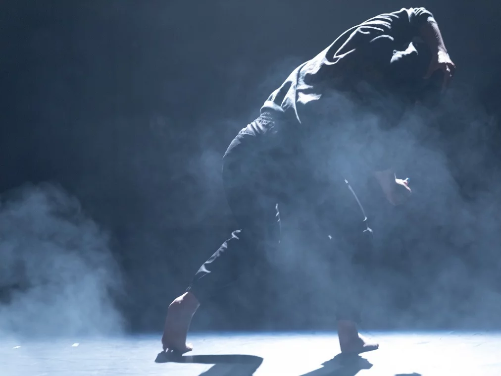 Rita Mazza_DandelionII_c_Mayra Wallraff_HP